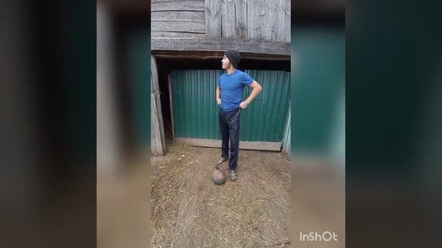 Как поднять гирю смешной видео урок