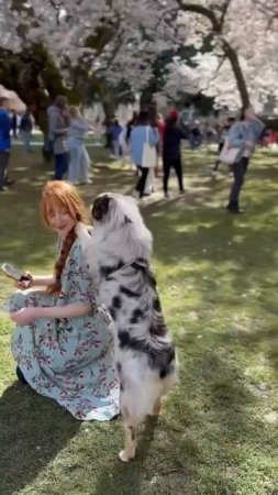Собакен - милая фотомодель 🐶🤩👏