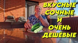 906 Жизнь семьи которая переехала на юг/Обзор наших покупок/Купили дом