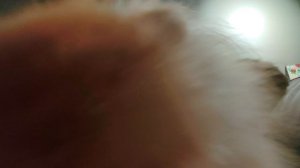 VID_20250523_205835.mp4