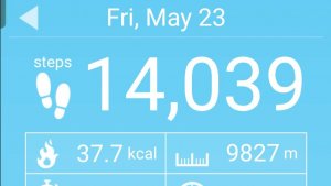 Майская прогулка по парку: Здоровье, природа, отличное настроение!  23 Мая