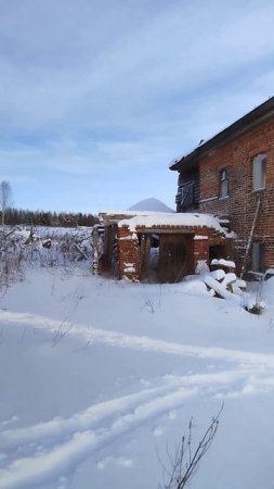 Огромные старинные дома в заброшенной деревне. Кировская область #shorts #заброшенныедеревни