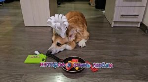 Кухня🍳 корги🍕🍟🍕.Янчик🐾 готовит🩷 интересное🍩 б
