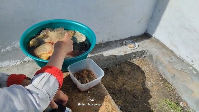 Казахстан/Реальная жизнь в селе/Обед/Муж добытчик, све