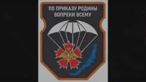 Видео зачистки украинского опорника в лесополосе