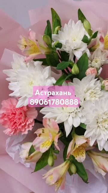 #цветы #астрахань #розы #альстромерия #101роза #юмор #цве?