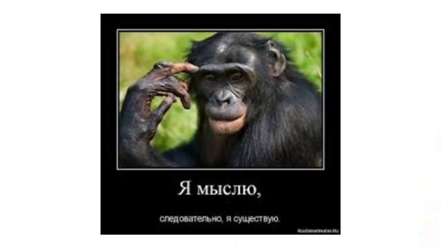 ЖУТКАЯ ТЕОРИЯ ПО ФНАФ || Не смотри в 3 часа ночи • Почем? смотреть онлайн