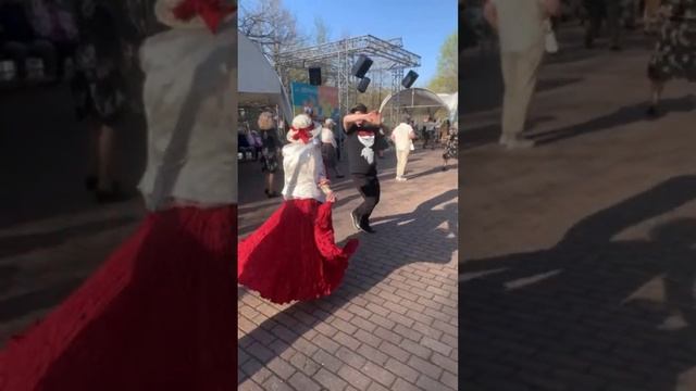 Gala в прямом эфире!