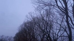 Лейла 18 серия