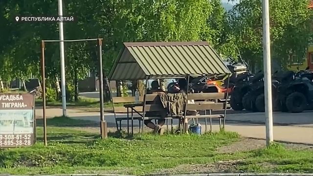 День с Толком 21.05.2025