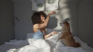 Как собаки нас видят: людьми или гигантскими псами? Эк?