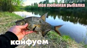 Рыбалка и отдых на реке Ветлуга. What Happens When You Camp Deep in the Forest?