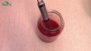 Наливка из замороженных ягод к празднику. Готова за 2 недели - 7 дач