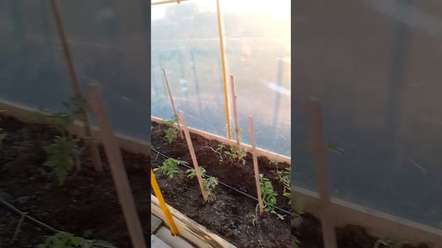 1000151995.mp4