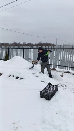 Сквозь снег к дровам