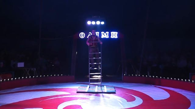 Ремни Vlad Fomenko смотреть онлайн