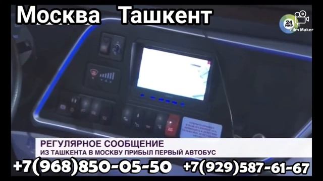 Россия Узбекистан автобус чартер рейс Москва Ташкент смотреть онлайн