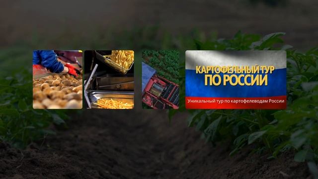 Картофельный тур по России 2024 – секреты фермеров и неожиданные открытия!