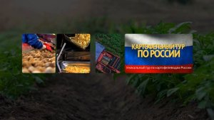 Картофельный тур по России 2024 – секреты фермеров и неожиданные открытия!
