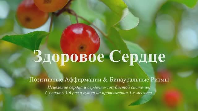 ЗДОРОВОЕ СЕРДЦЕ*Исцеление Сердца и Сердечно-Сосудистой Системы*РЕМЕЙК*Скрытые Аффирмации*САБЛИМИНАЛ