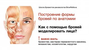 Как с помощью бровей моделировать лица?