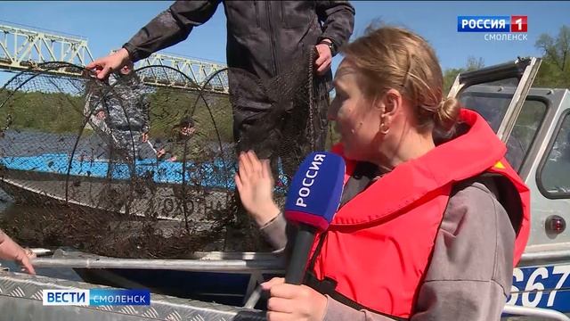 В Смоленске на Днепре провели рейд по незаконной рыбалке
