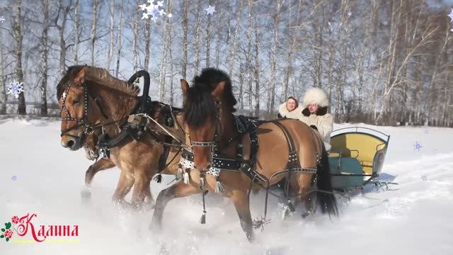 КАК ЗАДОРНО ПОЮТ! Самарская зима... | Ансамбль КАЛИНА. Russian folk songs. смотреть онлайн