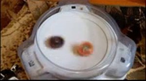 сериал бейблэйд бёрст 9 сезон 6 серия