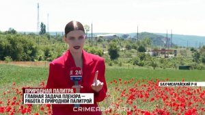 Студенты крымского художественного училища имени Самокиша провели пленэр в маковом поле