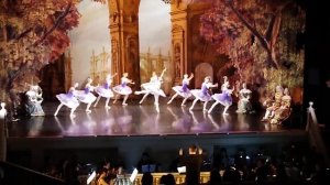 Балет Спящая красавица. Эрмитажный театр #Балет #Театр