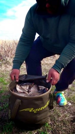 МЕГА УЛОВ! #shorts #рыбалка #fishing #рыба #fish #эдвардкосичка  #природа #nature #отдых  #rest