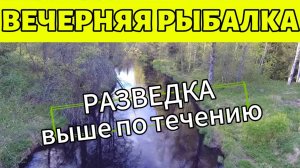 ВЕЧЕРНЯЯ РЫБАЛКА. ПРОВЕРЯЕМ РЫБУ ВЫШЕ ПО ТЕЧЕНИЮ.