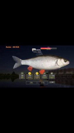#shorts  ВОЛХОВ ТРОФ ГОЛАВЛЬ РУССКАЯ РЫБАЛКА 4 #рыбалка #carpfishing #fishing