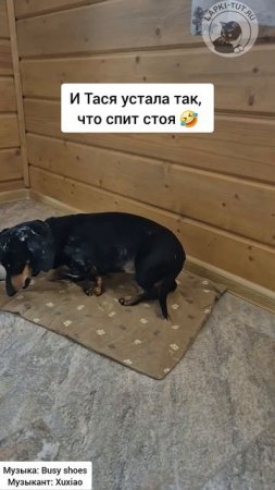 пятница и работник года