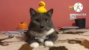 Прямой эфир нтн 5.10.2022 19:00