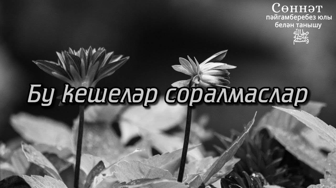 Бу кешеләр соралмаслар | Рамил Гәйнетдинов