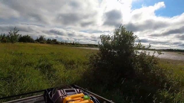 Август в Сибири/дорога в деревню/лебеди