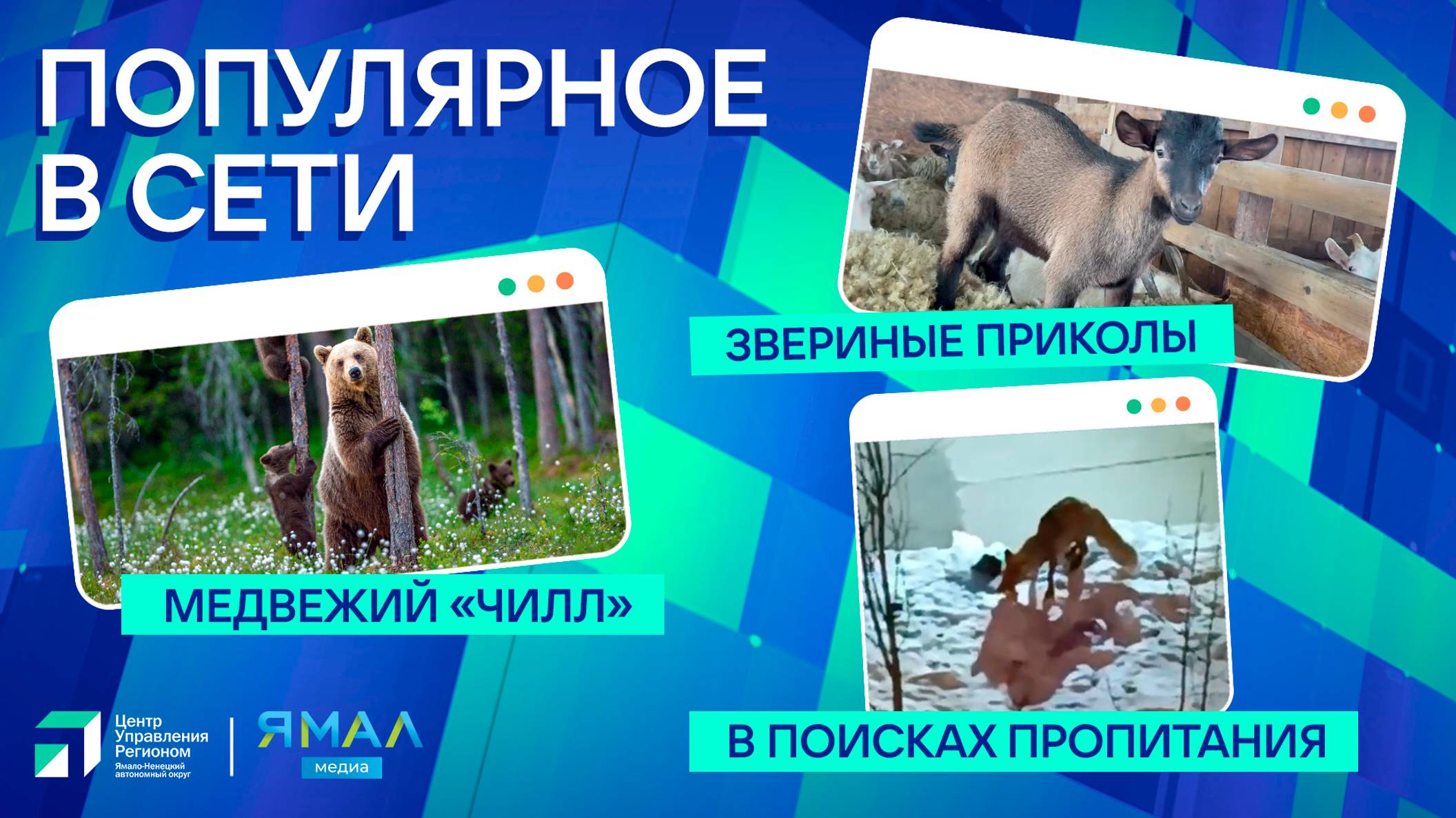 "Ямал-Медиа" продолжает обозревать популярные видео в интернете
