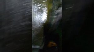 Пушечное сало с нигролом самый лучший антикор везде