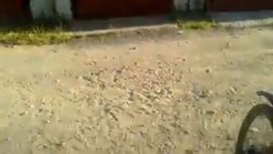 собака напала на человека