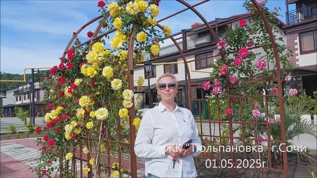 Тюльпановка ход строительства смотреть онлайн