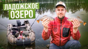 Дикие поклёвки плотвы. Ладожское озеро. Ловля плотвы на поплавок весной.