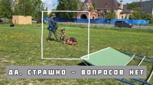 Малинуа и раздражитель. Прыжки: в длину, безопорный и о