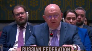 В. Небензя: Все преступления киевского режима против мирных жителей остаются незамеченными в ООН.