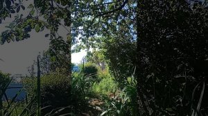 Таро.Будет ли встреча.