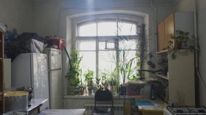 7814831, Греческий проспект, д. 15