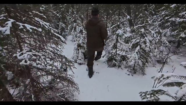 БЫСТРЫЙ и КРЕПКИЙ КАБАН. Охота на кабана с лайками. Соб