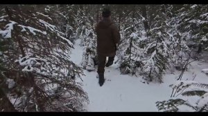 БЫСТРЫЙ и КРЕПКИЙ КАБАН. Охота на кабана с лайками. Соб