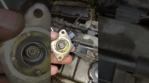 мазда мпв нет хх . все датчики работают