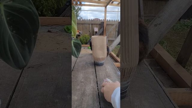 ПОСЫЛКА ЕКБ МОСКВА ТАРЕЛКА ДОВОЛЬНАЯ Я смотреть онлайн